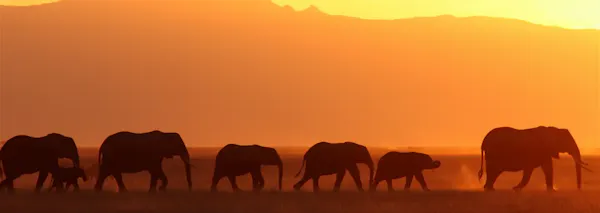 Why Philanthro-activism is key to solving the climate crisis